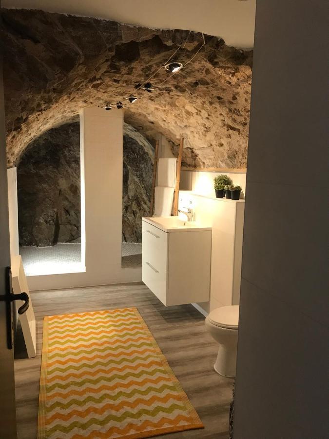 Appartement Cosy Le Balloon Avec Wifi Annonay Eksteriør bilde