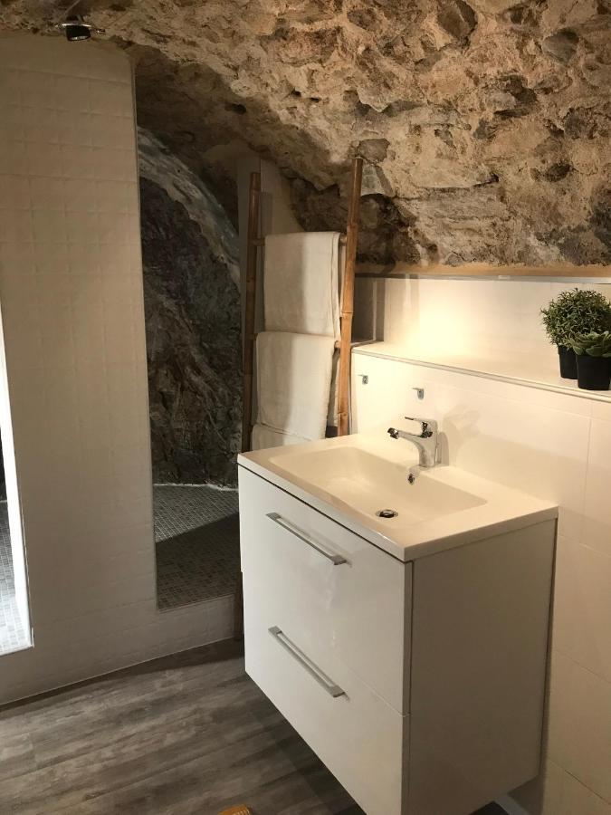Appartement Cosy Le Balloon Avec Wifi Annonay Eksteriør bilde
