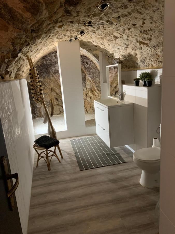 Appartement Cosy Le Balloon Avec Wifi Annonay Eksteriør bilde