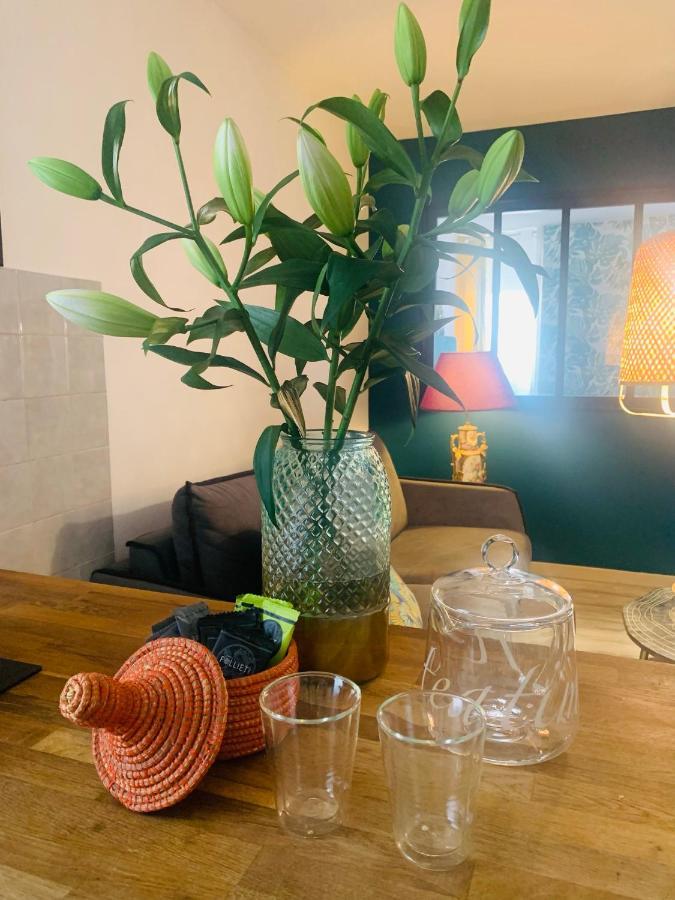 Appartement Cosy Le Balloon Avec Wifi Annonay Eksteriør bilde